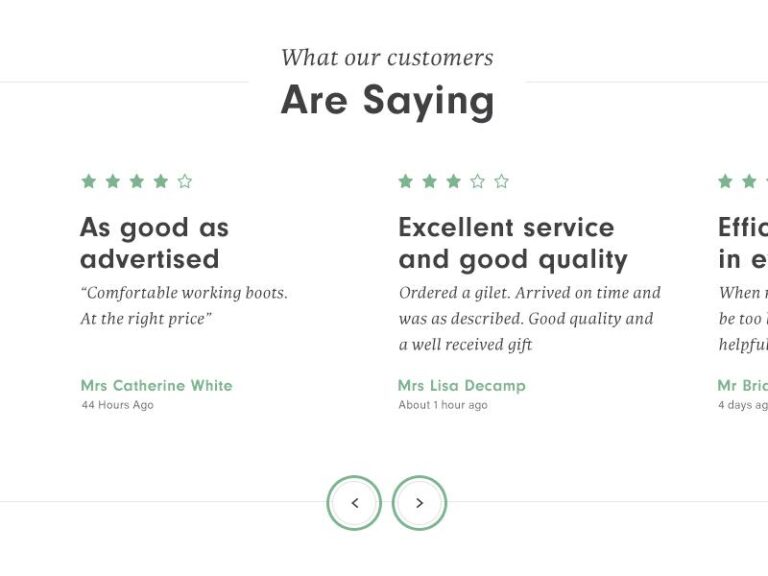 Review Widgets vs. Static Testimonials: Which Builds More Trust and Conversions?